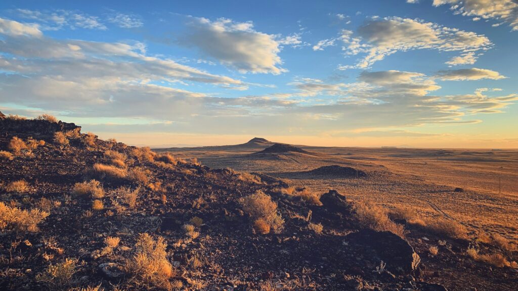Top MPH Programs in New Mexico Top MPH Programs in New Mexico